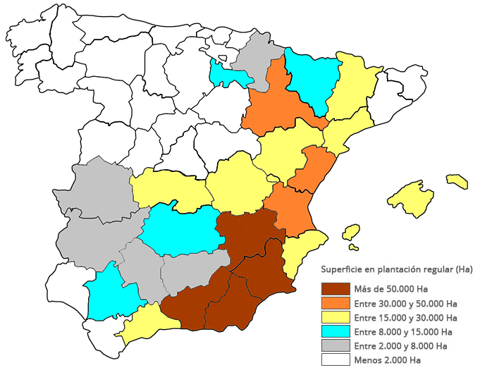 Asociación Nacional de Descascaradores de Almendra